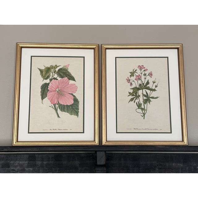 This beautiful set of 2 framed original vintage botanical wild flower prints of Rose Mallow and Wild Geranium were...