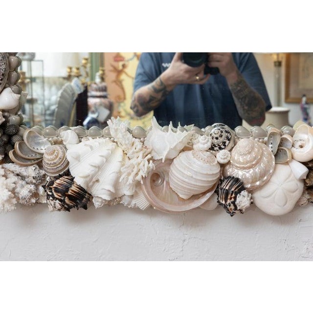 Late 20th Century Custom Organic Shell Mirror For Sale - Image 5 of 8