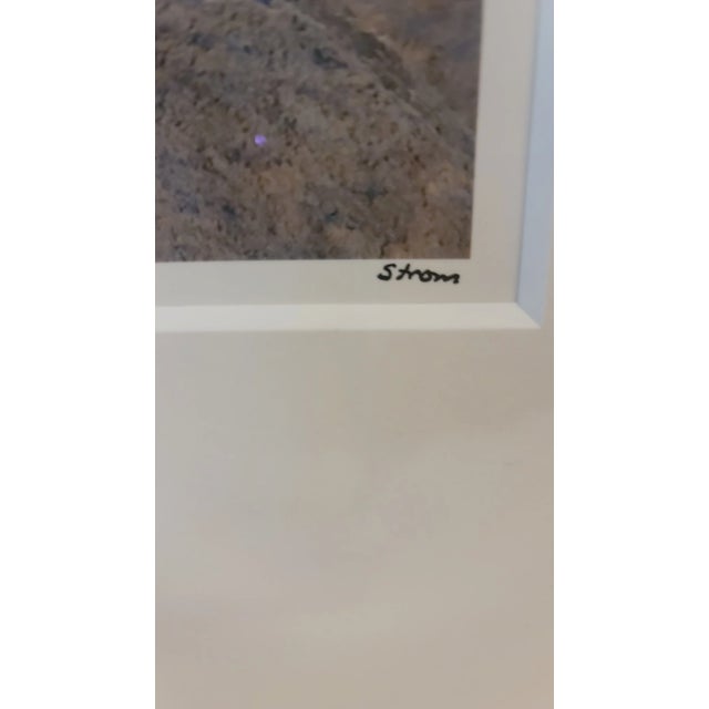 Stephen Strom Photographer Archival Pigment Print Earth For Sale - Image 4 of 4