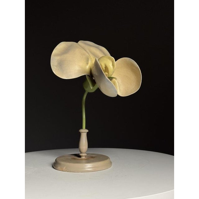 German Botanical Flower Model, 1900 For Sale - Image 6 of 18
