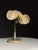 German Botanical Flower Model, 1900 For Sale - Image 6 of 18