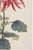 Not Yet Made - Made To Order Pink Chrysanthemum by Hasegawa, Vintage Japanese Botanical Art Print, 8" X 12" For Sale - Image 5 of 8
