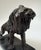 Powerful bronze sculpture of a roaring lion, modeled with striking realism and dynamic tension. The composition conveys...