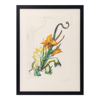 Salvador Dali "Daylily (Elephant)" Etching, 1972 For Sale