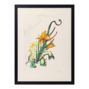 Salvador Dali "Daylily (Elephant)" Etching, 1972