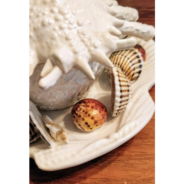 Trompe l'Oeil Italian White Majolica Crab Covered Dish Seashells For Sale - Image 12 of 13