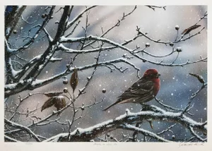 Jake Vandenbrink Winter Is Upon Us Lithograph on Paper
