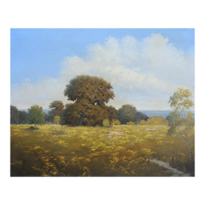 Late 20th Century Texas Live Oak and Wildflowers Landscape Painting