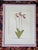 Mid Century Henry Evans Botanical Linocut Prints Framed- Set of 4 For Sale In Charlotte - Image 6 of 17