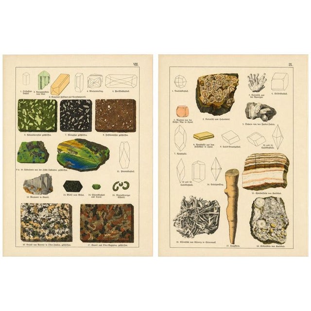 Antique Mineralogy Chromolithographs of Granite, Calcite and Fossil, 1888, Set of 2 For Sale - Image 12 of 12