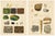 Antique Mineralogy Chromolithographs of Granite, Calcite and Fossil, 1888, Set of 2 For Sale - Image 12 of 12