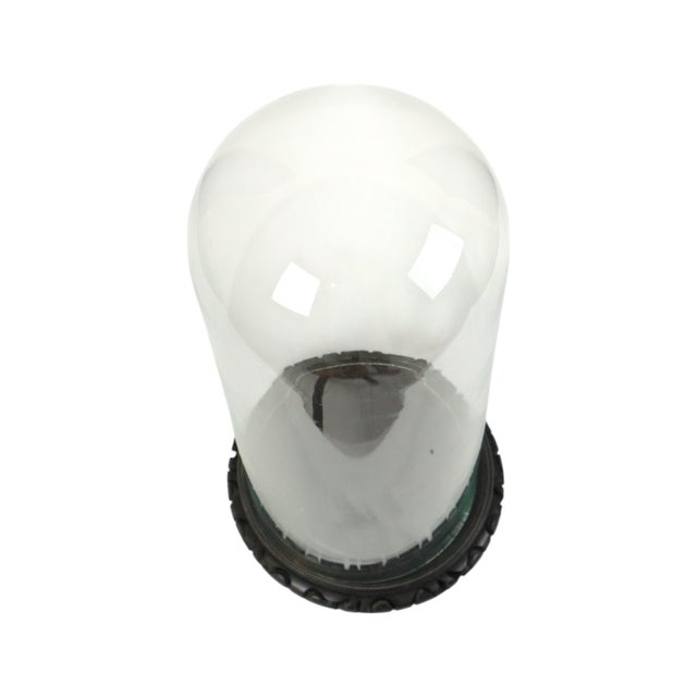 Large Antique Mouth-Blown Glass Dome on Asian Wooden Base, 1890s For Sale - Image 6 of 11