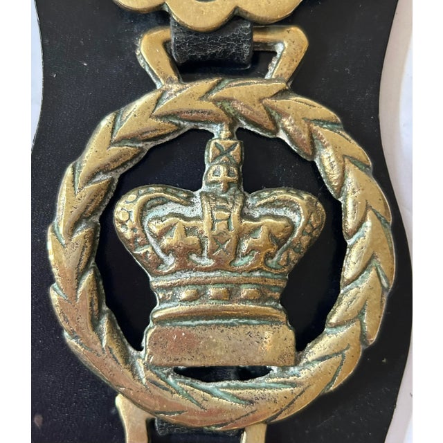English Martingale Dereham Leather Horse Strap With 5 Horse Brasses For Sale In San Francisco - Image 6 of 7
