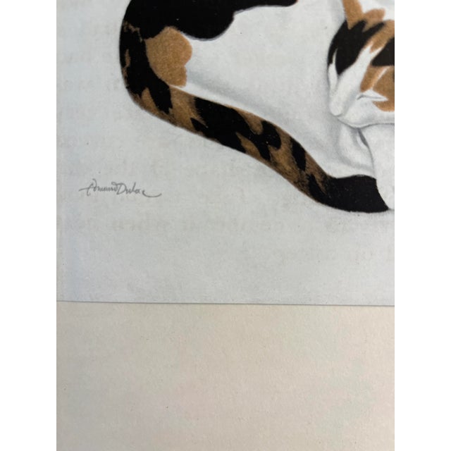 Absolutely marvelous book illustration by Edmund Dulac of his calico cat, Sophie. On soft ivory toned paper. Beautiful...