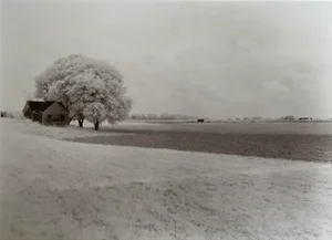 Circa 1989 "Memories of Home" Black and White Infrared Photograph From Film by Gary Bartoloni