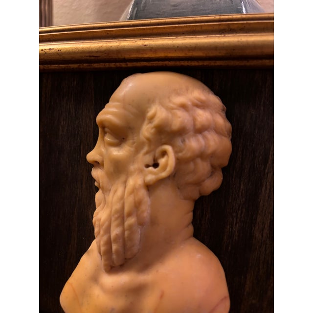 Early 19th Century Early 19th Century Italian Grand Tour Siena Marble Relief Portrait of the Ancient Greek Philosopher Socrates For Sale - Image 5 of 12