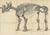 Antique print titled 'Tinoceras Ingens'. Original lithograph of a Tinoceras Ingens, a large extinct mammal. This print...