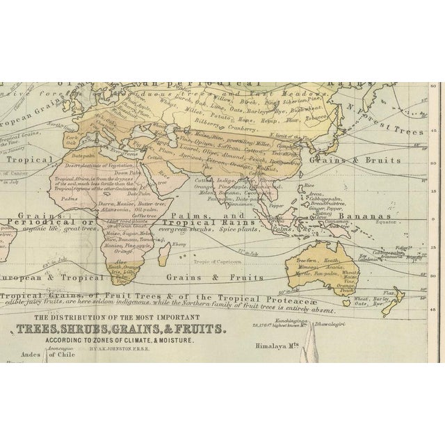 Botanical Map by A.K. Johnston, 1852 For Sale - Image 6 of 10