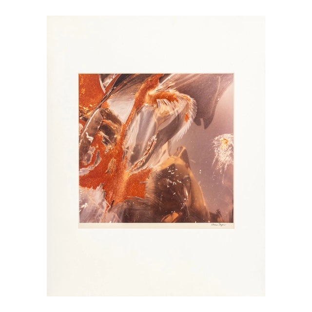 Anne Sager Junk Car Composition Photograph C-Print For Sale