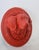 Mid 20th Century Vintage Wooden Hand-Carved Decorative Dog Head in the Middle of the 20th Century For Sale - Image 5 of 5