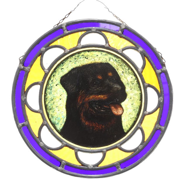 Art Deco Stained Glass Roundel with Rottweiler Dog, Belgium, 1890s For Sale - Image 11 of 11