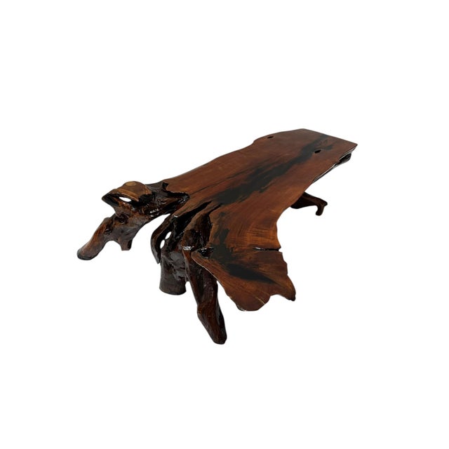 Brutalist Tree Root Coffee Table, 1970s For Sale - Image 14 of 14