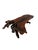 Brutalist Tree Root Coffee Table, 1970s For Sale - Image 14 of 14