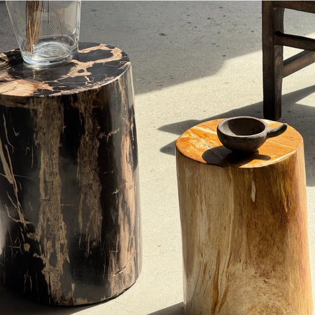 Side Table in Black Petrified Wood with Beige Striations and a Circular Arc For Sale - Image 6 of 18