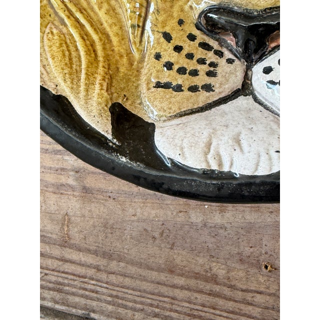 Mid 20th Century Vintage Italian Glazed Terracotta Lion Wall Plate | Sculptural Ceramic Wall Art For Sale - Image 5 of 11