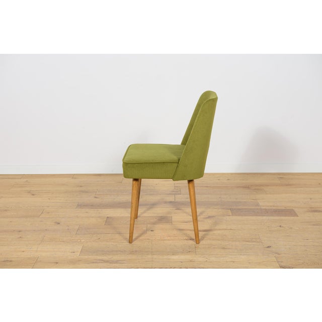 Shell Chairs from Bydgoszcz Furniture Factory, 1960s, Set of 6 For Sale - Image 11 of 18