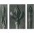 1928 Karl Blossfeldt Original Period Photogravure N9 For Sale - Image 4 of 6