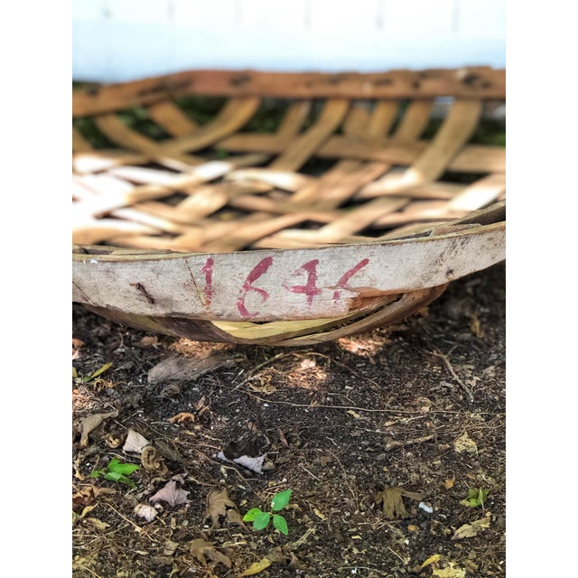 Antique Owensboro Kentucky Tobacco Basket Chairish