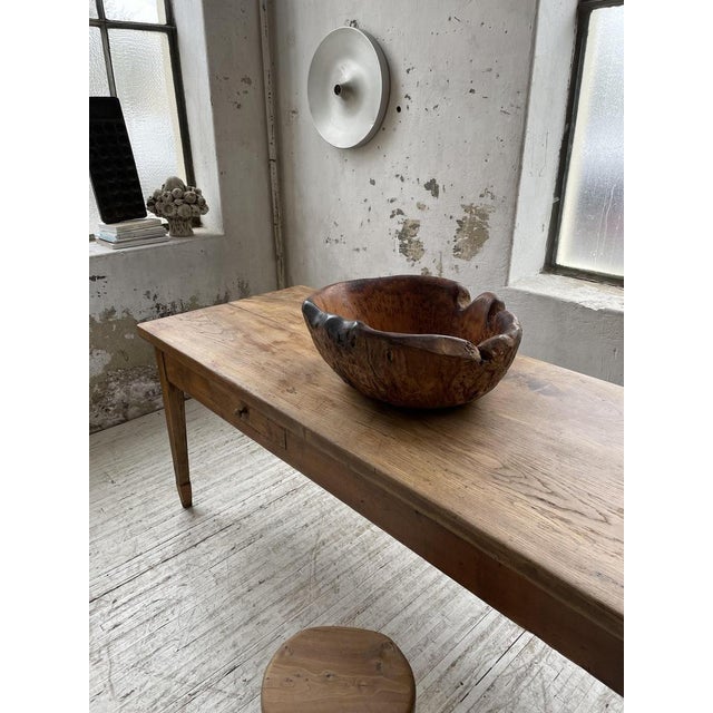 Cedar Root Wooden Flat Dish, 1950s For Sale - Image 4 of 18