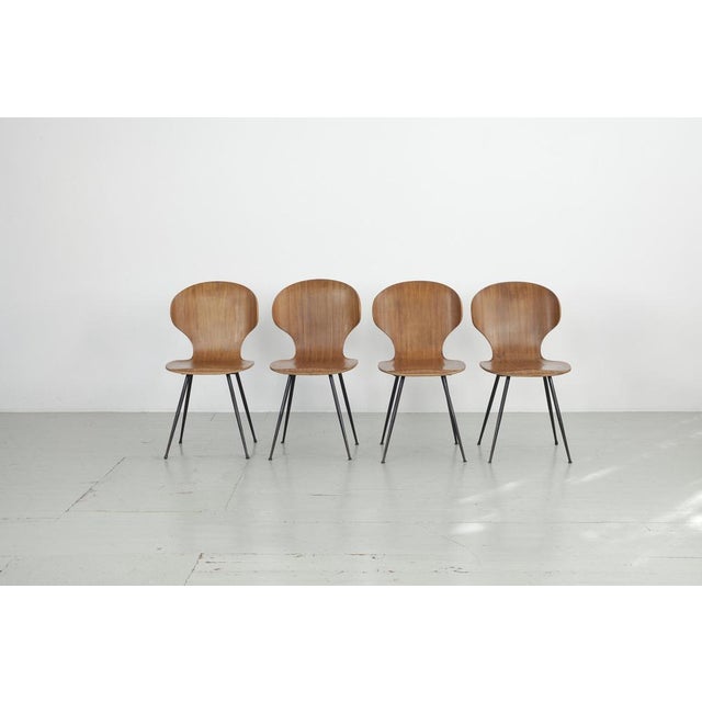 Italian Chairs by Carlo Ratti for Industria Legni Curvati, 1950s, Set of 4 For Sale - Image 6 of 18