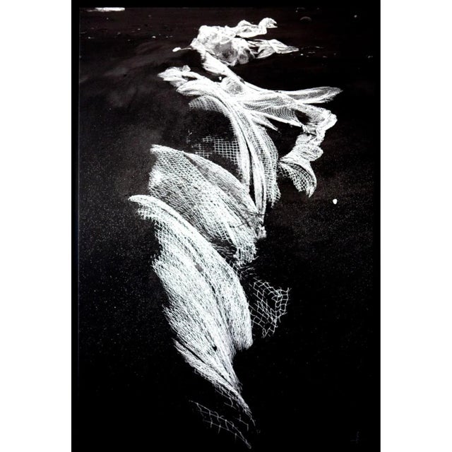 Olivier Attar, Sirene, 2013, Photograph, Framed For Sale - Image 4 of 4