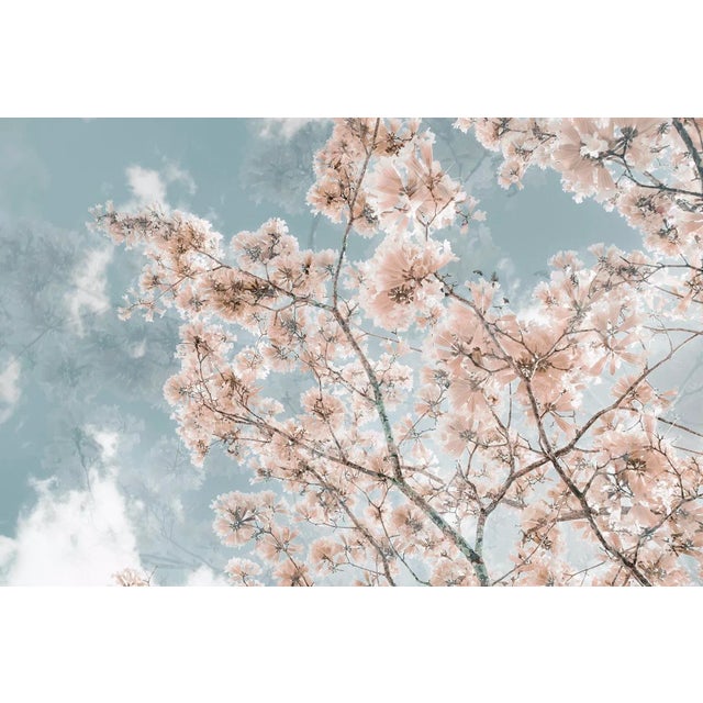 All photos are available for purchase as a Limited Edition full color prints. I use an archival 100% cotton fine art...