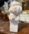 Late 19th Century 19th Century French Carved Two-Tone White Marble Bust of Young Beauty For Sale - Image 5 of 8