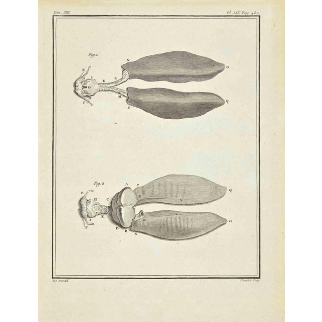 Juste Chevillet, The Organ, Etching, 1771 For Sale