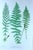 Green Henry Bradbury Nature-Printed Fern Botanical Prints, Set of Four, Framed For Sale - Image 8 of 18