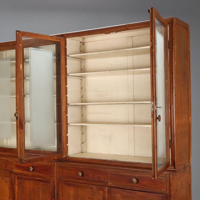 Mid-19th Century Bookcase in Larch, Italy For Sale - Image 4 of 12