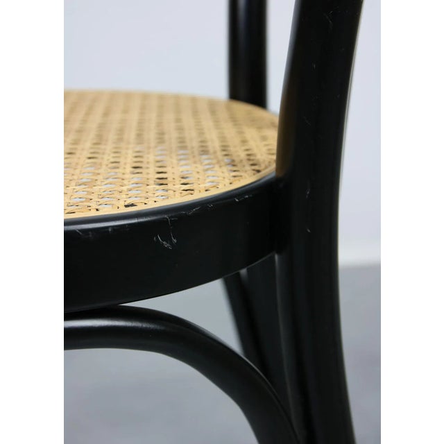 Bentwood No. 218 Chairs, Set of 2 For Sale - Image 15 of 18