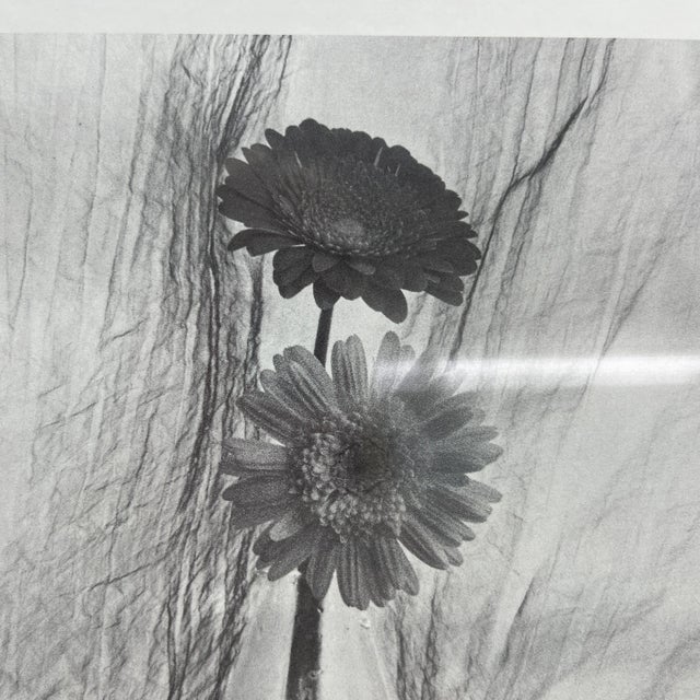 Wood Vintage Set of 3 Framed Monotone Flower Bouquets in Glass Vases For Sale - Image 7 of 9