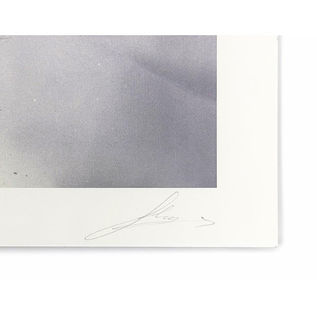 Archival pigment print on 300 gsm Somerset paper with 1 colour screen print, then embossed to make the image pop. Each in...