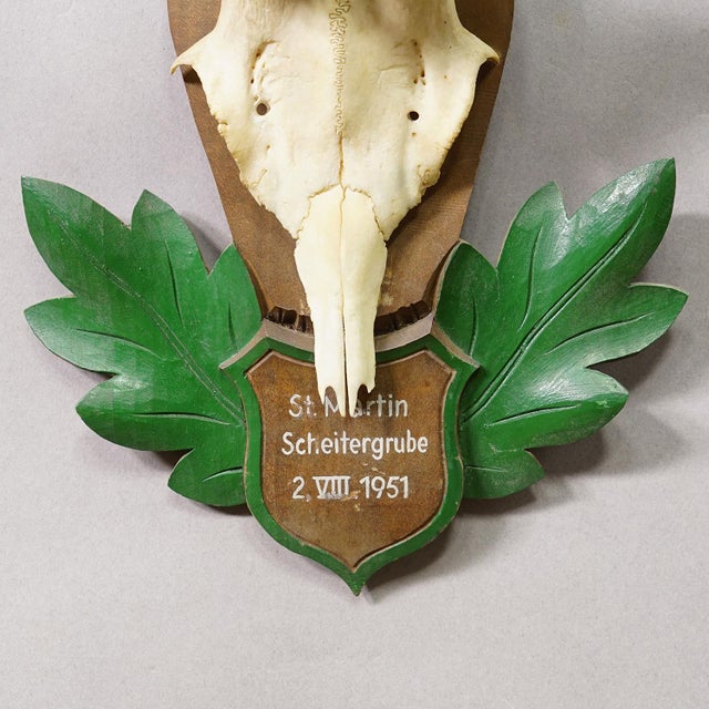 Great Black Forest Red Deer Trophy on Carved Plaque - Germany 1951 For Sale - Image 4 of 6
