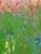 Wood Spotted Horse Contemporary Oil Painting by Alexandra Swistak For Sale - Image 7 of 14