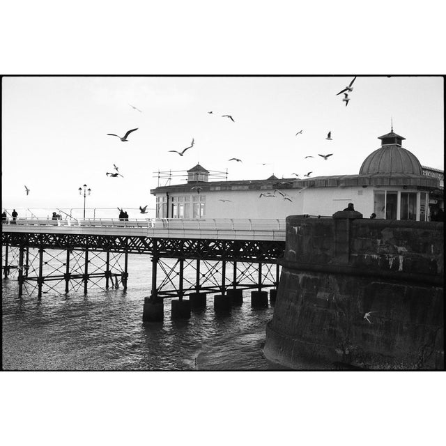 Not Yet Made - Made To Order Paul Cooklin, Seagulls, Cromer Pier, Edition of 50 For Sale - Image 5 of 5