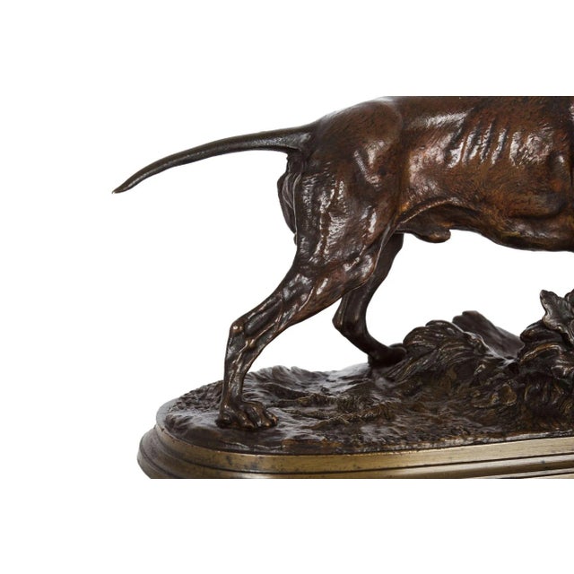 Metal French Antique Bronze Sculpture of Pointer Dog by Pierre-Jules Mêne Circa 1880 For Sale - Image 7 of 12