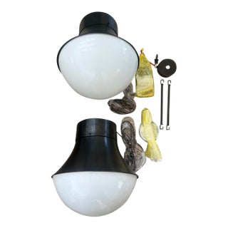 Visual Comfort Precision Large Bronze Pendants - a Pair For Sale