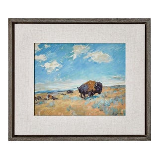 Buffalo Plains - Framed Canvas For Sale