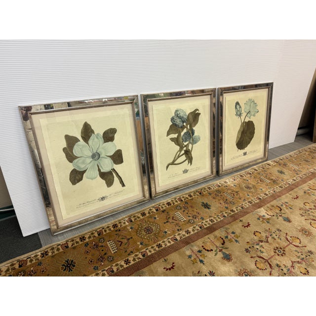 Design Plus Gallery presents a Set of Three Imperial Flowers from Trowbridge Gallery. This botanical collection is...